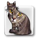 ID Image Catalog